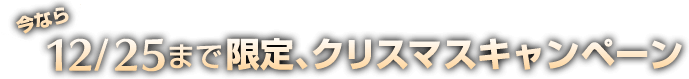 今なら12/25まで限定、クリスマスキャンペーン